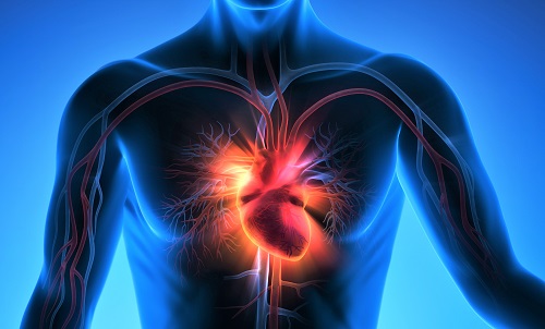 Cleveland Clinic Comprehensive Heart Attack Protocol Improves Survival ...